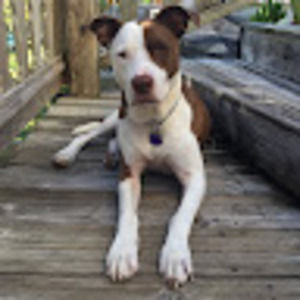 Meet your Posher, Sonia